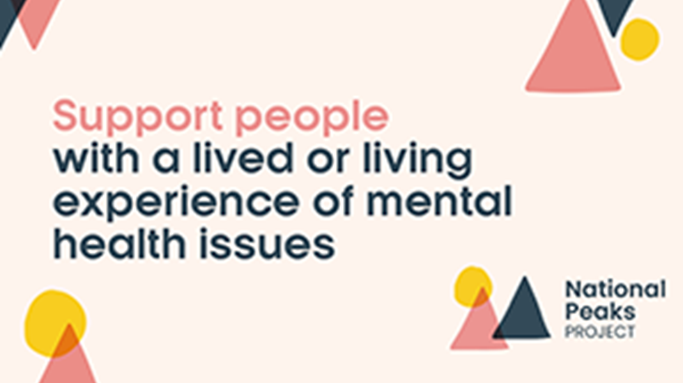 Text graphic reads:  Support people with a lived or living experience of mental health issues